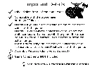 Tokaido Details.webp
