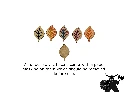 Earth Markers - masked.webp