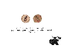 Goal Marker Tokens - masked.webp