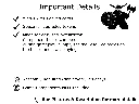 Everdell Duo Details.webp
