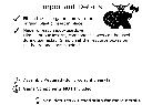 Everdell Insert Details.webp