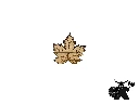 Leaves - single.webp