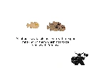 Finspan Tokens - masked.webp