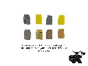 Knowledge Token - acrylic masked.webp