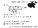 Instanbul Insert Details.webp