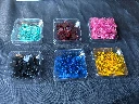 Wingspan Tokens - in bins expansion.webp