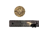 Wyrmspan FP Marker - Wing scale.webp