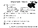 Root Full Details.webp