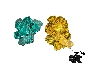 Seti Tokens - Acrylic Main.webp