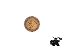 Golden Everdell tokens - single.webp