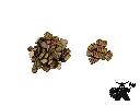 Ancient Knowledge - Knowledge Tokens | Game tokens